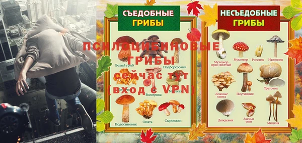 ПСИЛОЦИБИНОВЫЕ ГРИБЫ Арсеньев