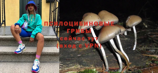 ПСИЛОЦИБИНОВЫЕ ГРИБЫ Арсеньев