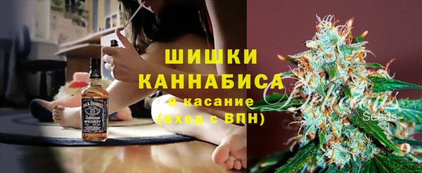 ПСИЛОЦИБИНОВЫЕ ГРИБЫ Арсеньев