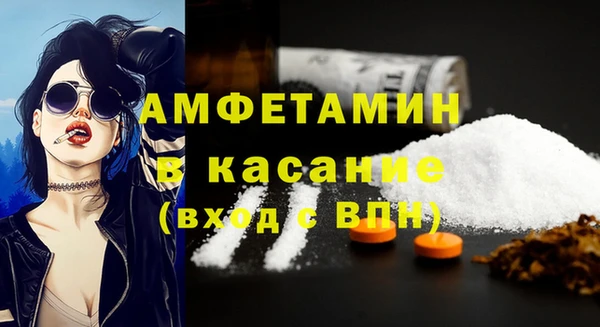 ПСИЛОЦИБИНОВЫЕ ГРИБЫ Арсеньев