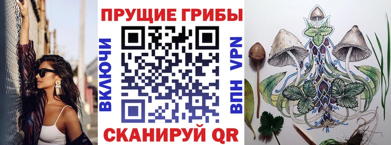 Галлюциногенные грибы Magic Shrooms  Поворино 